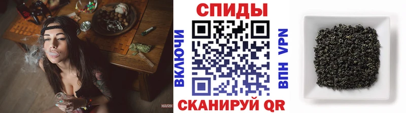 blacksprut рабочий сайт  Киселёвск  БУТИРАТ оксана 