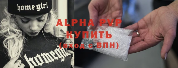 шишки Корсаков