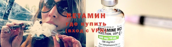шишки Корсаков