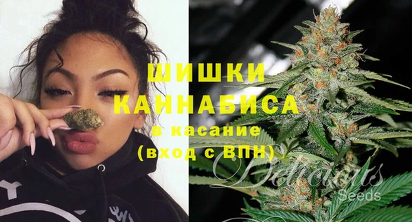 шишки Корсаков