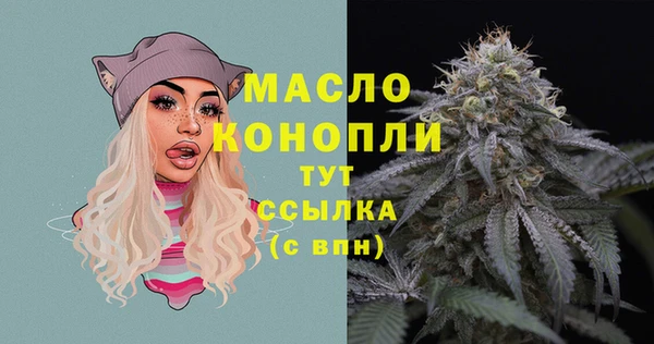 шишки Корсаков