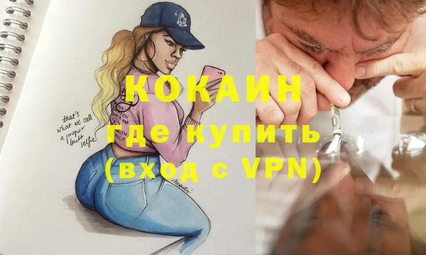 шишки Корсаков