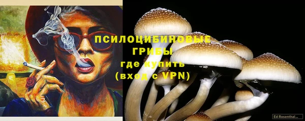 трава Краснослободск
