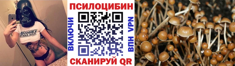 ссылка на мегу ссылка Киселёвск Псилоцибиновые грибы GOLDEN TEACHER закладка